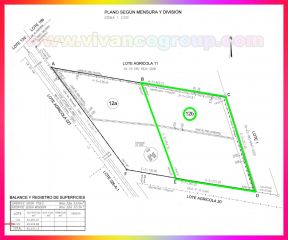 Se vende Chacra 5 has. en Centenario - Provincia de Neuquén