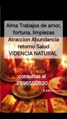 Alma parapsicologa Vidente natural 27 años de experiencia