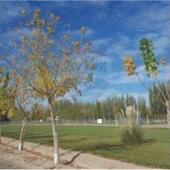 Recibo tu auto por TERRENO CHACRAS DEL SUR 800MTS CUADRADOS