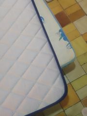 Cama