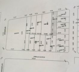 LOTE IDEAL DESARROLLO