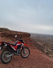 Honda xr
