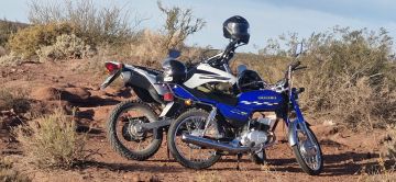 Titular vende Honda TORNADO