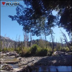 Loteo Villa la Angostura