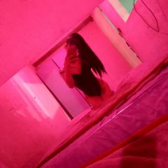 Holis jaz