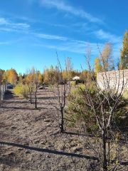 VENDO LOTE EN PLOTTIER 665m2