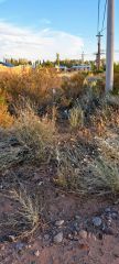 Terreno en esquina 300 m² – Vientos del Sur, Plottier – Financiación directa