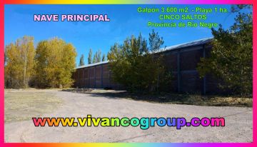 Se vende Galpón 3.300 m2. - Zona de Chacras - Cinco Saltos - Provincia de Río Negro