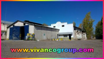 Se vende Galpón 3.300 m2. - Zona de Chacras - Cinco Saltos - Provincia de Río Negro