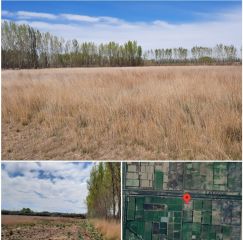 Ver este aviso Ver este aviso