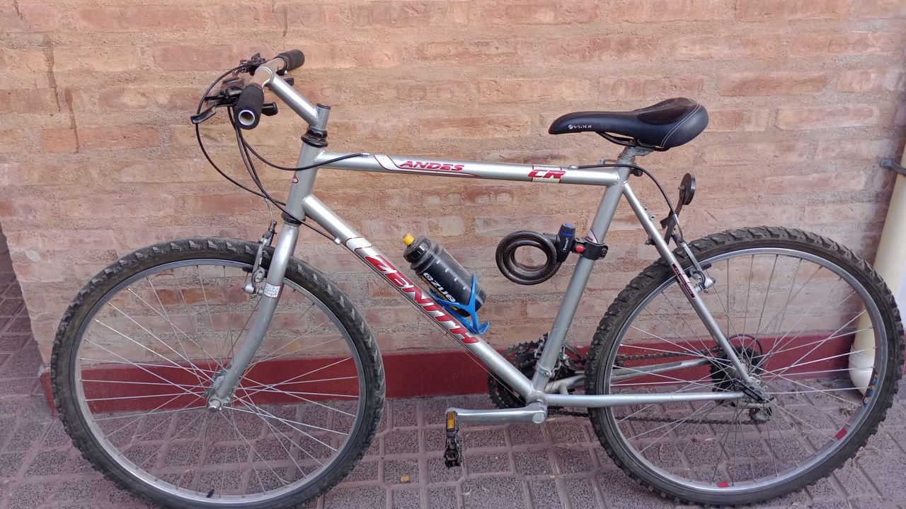 Bicicleta R 26