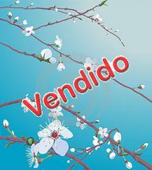 Ver este aviso