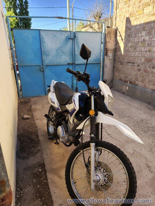 Motomel Skua 150 v6